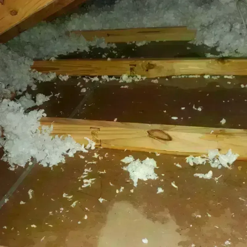 Attic Water Damage in Green Bay, WI