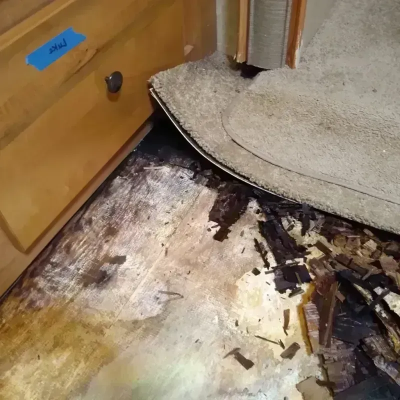 Wood Floor Water Damage in Green Bay, WI